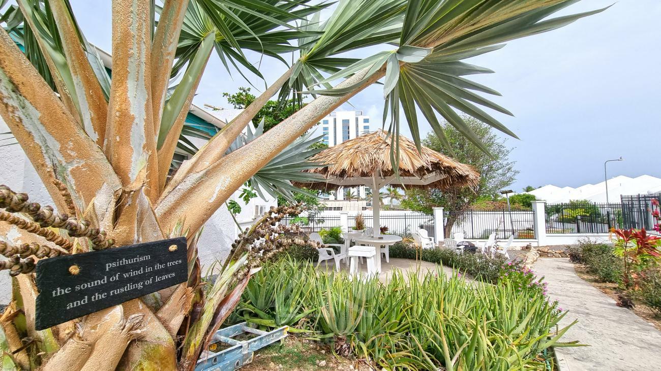 3-bedroom + Studio condo in Sint Maarten, Cupecoy, Tradewinds. Two levels, walking distance to beach