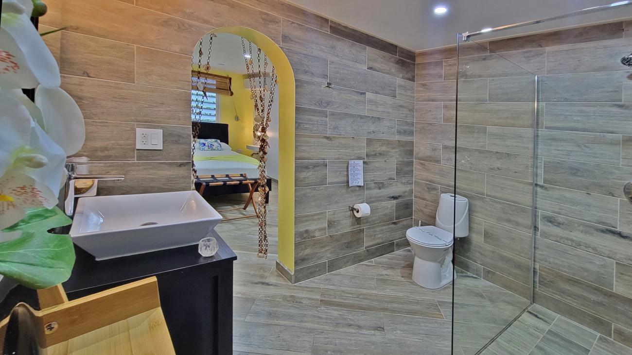 Luxury Villa for sale in St Maarten, with additional 4 apartments. St Barths and ocean views 