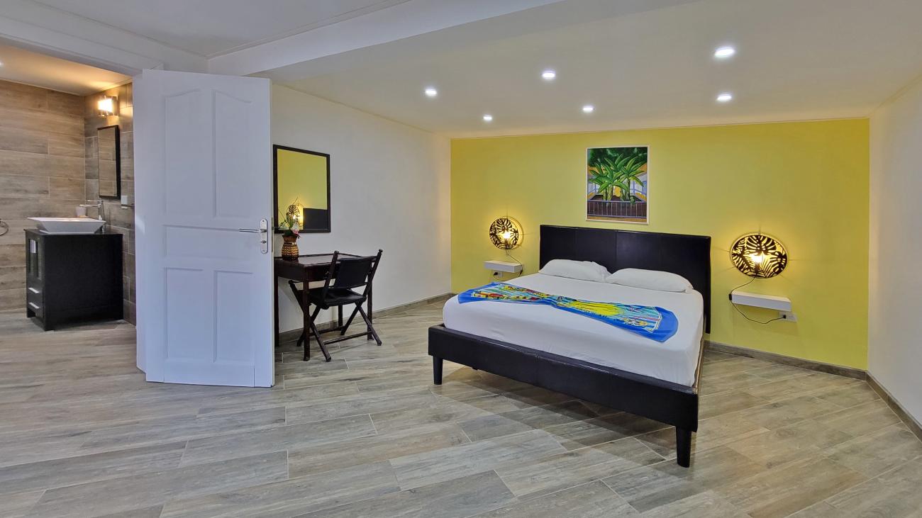Luxury Villa for sale in St Maarten, with additional 4 apartments. St Barths and ocean views 