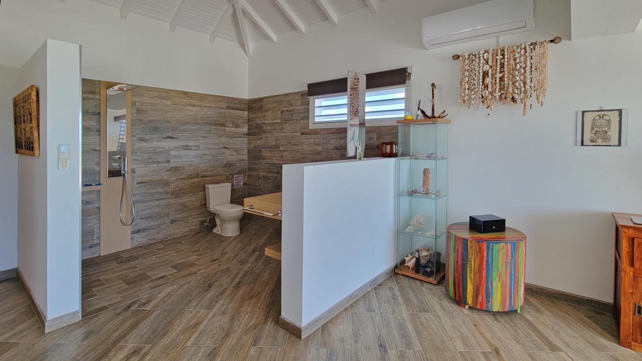 Luxury Villa for sale in St Maarten, with additional 4 apartments. St Barths and ocean views 