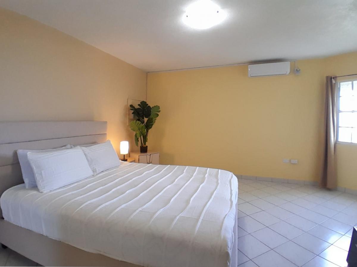 Big 3BR apartment for rent in St Maarten Point Blanche. Ocean View Sunrise Breeze Peaceful NEW PRICE
