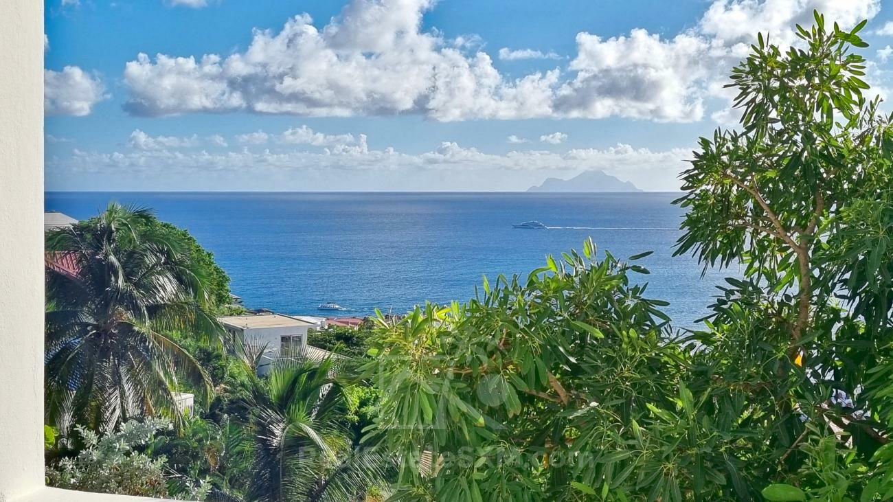 Caribbean Luxury Villa Cleavage For SALE Sint Maarten top of Pelican Key. Gorgeous sea views. 