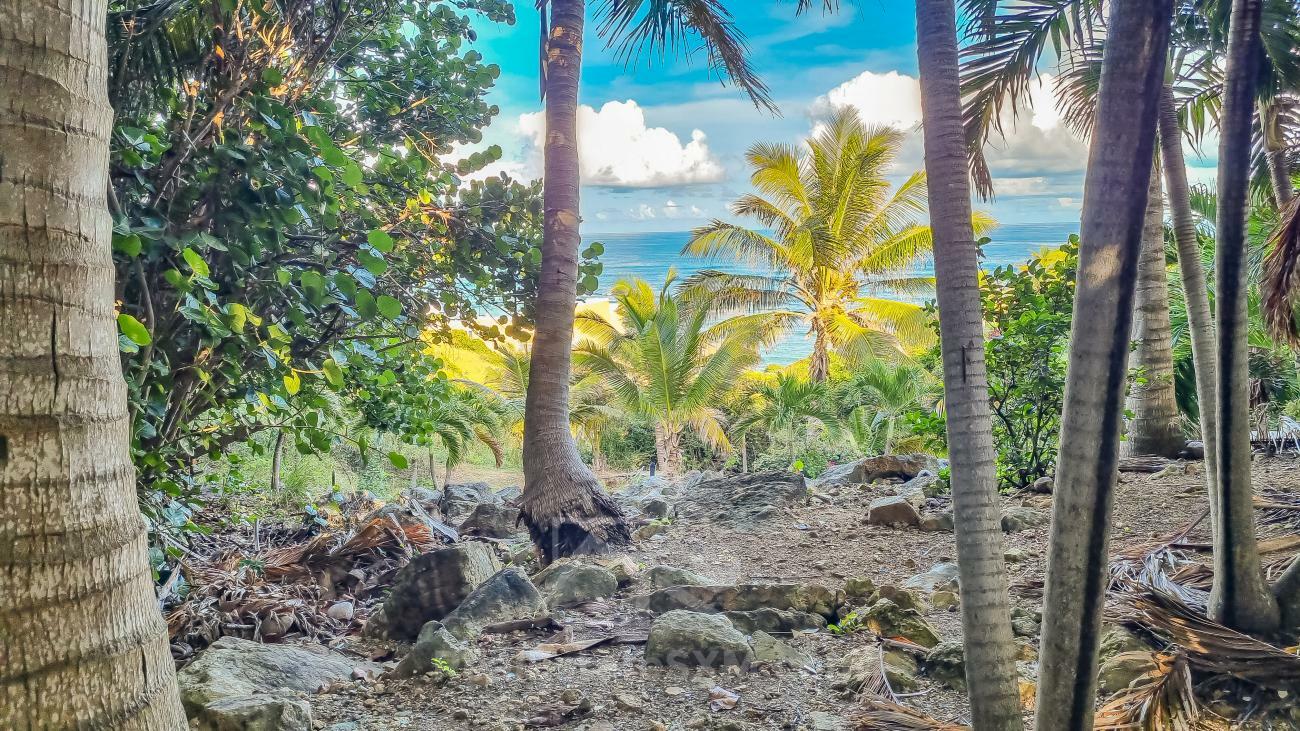 Villa for sale in Caribbean St Maarten, Dawn Beach. Twin Palms. Amazing ocean view. Garden. Peaceful