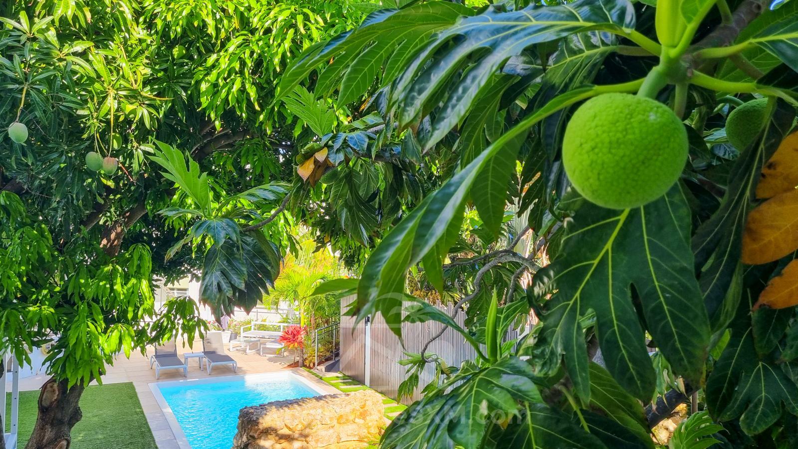 Cozy & luxury, hidden gem in the heart of Cole Bay 2-BR apartment. Swimming Pool. Gym. Renovated