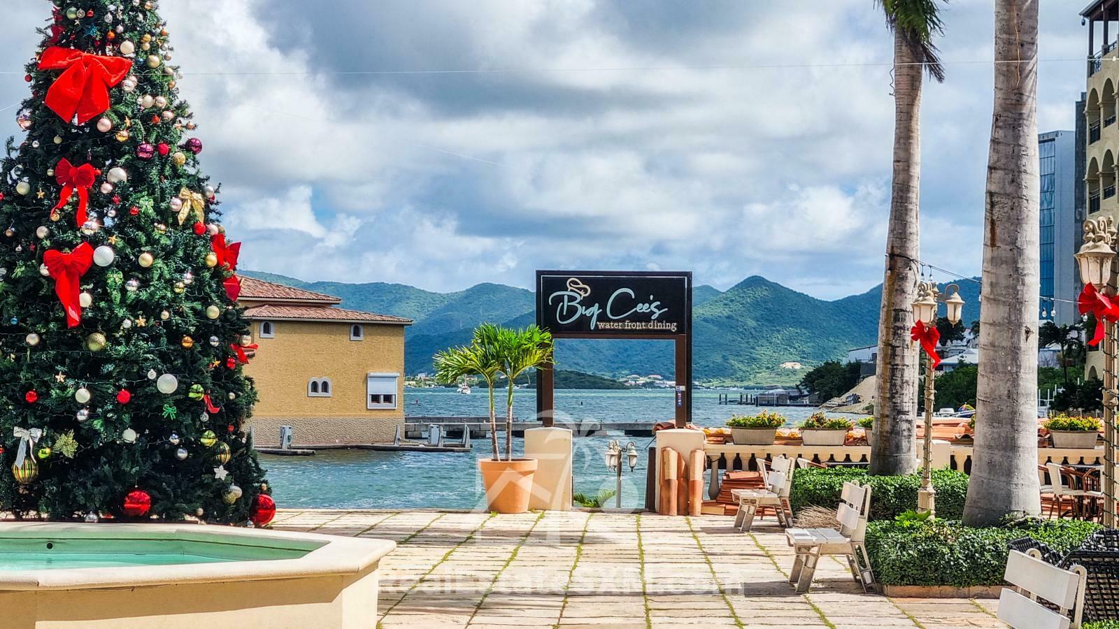 St Maarten Unique Luxury Condos in Porto Cupecoy FOR SALE Lagoon and Garden View. Many options 22/1A