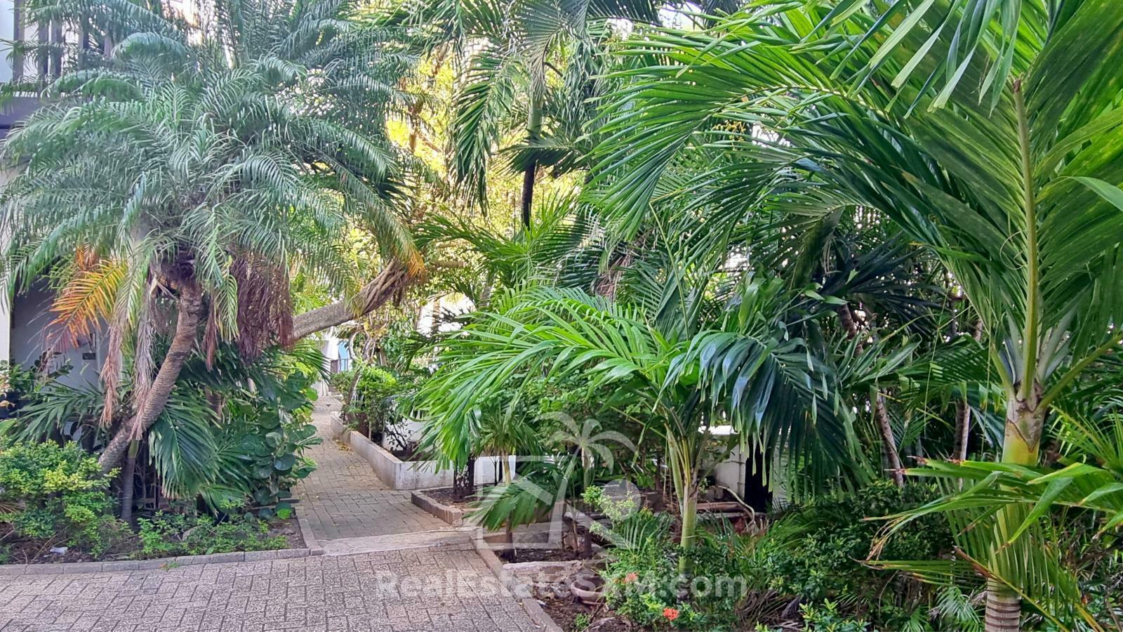 SXM Tamarind Point Blanche 1BR Condo with Mezzanine FOR SALE. Also 1 more available next door! 12